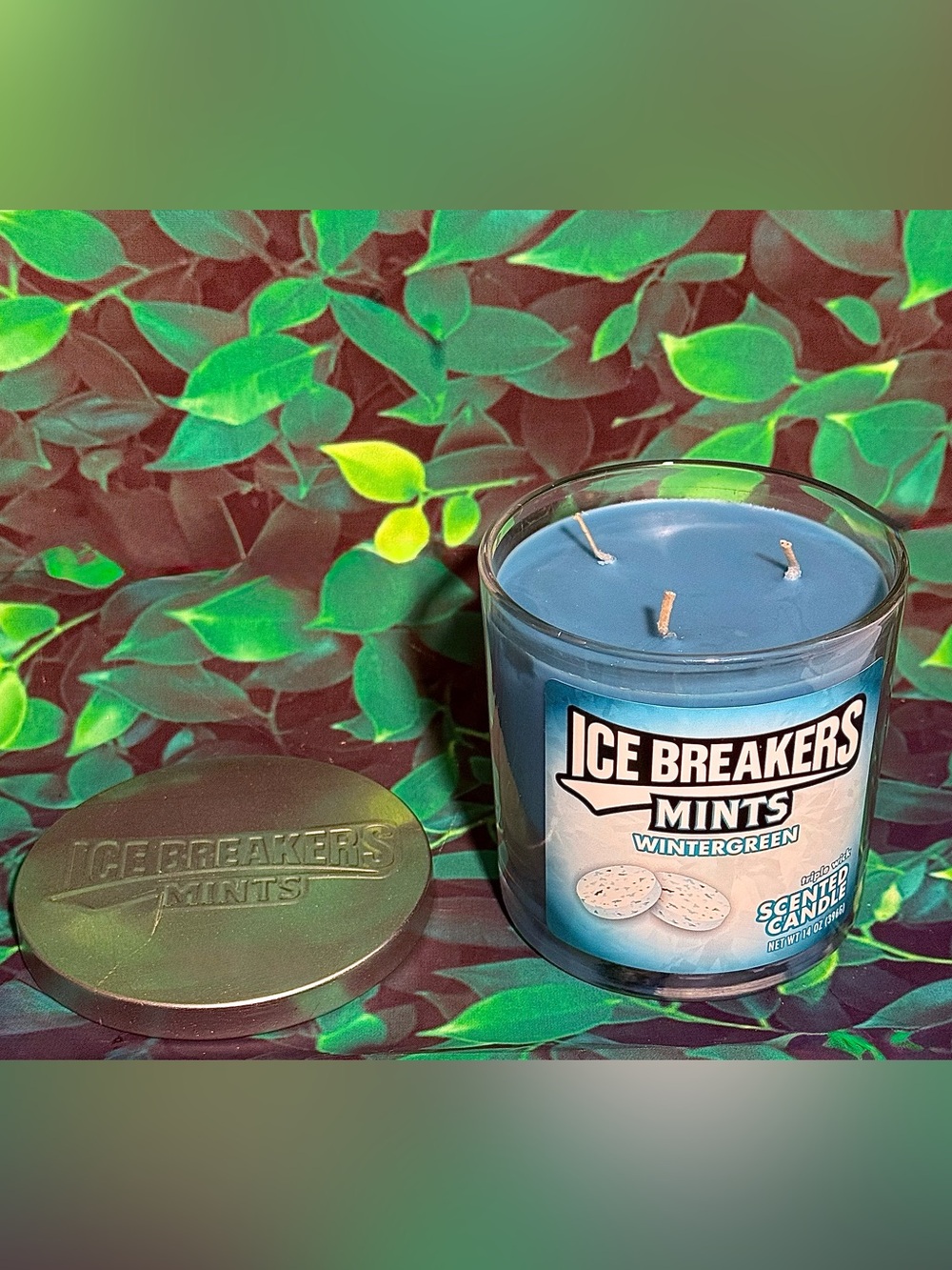 Candle Sale Firm Price